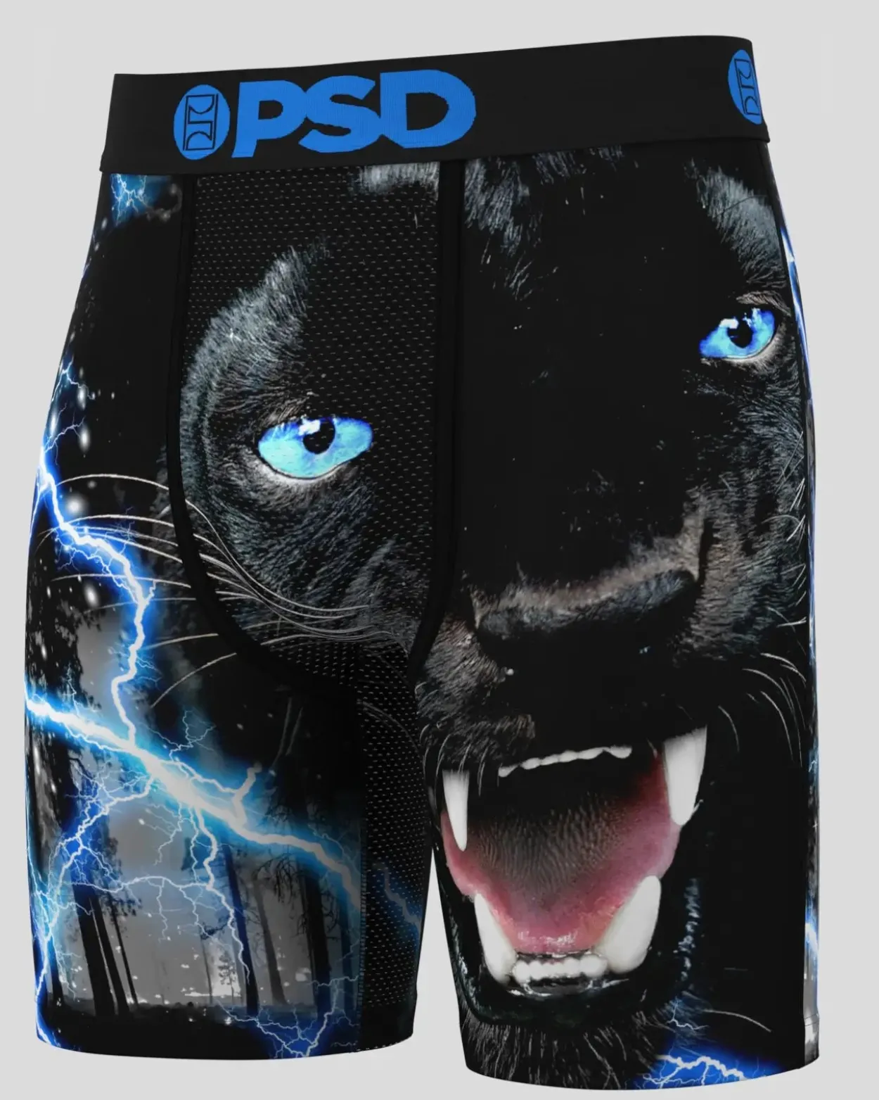 Thunder Panther
